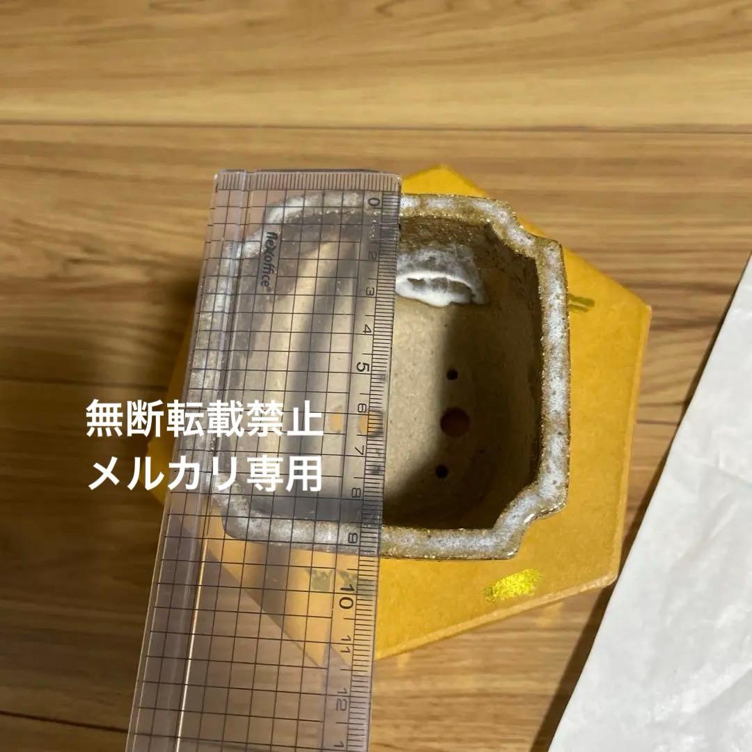 盆栽鉢　桑津香石　山野草　梅　椿　小品盆栽