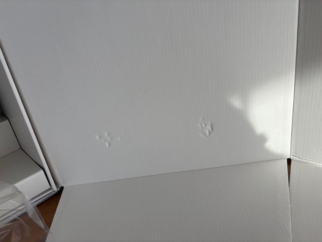 新品THE MONSTERS ANGEL IN CLOUDS ZIMOMO