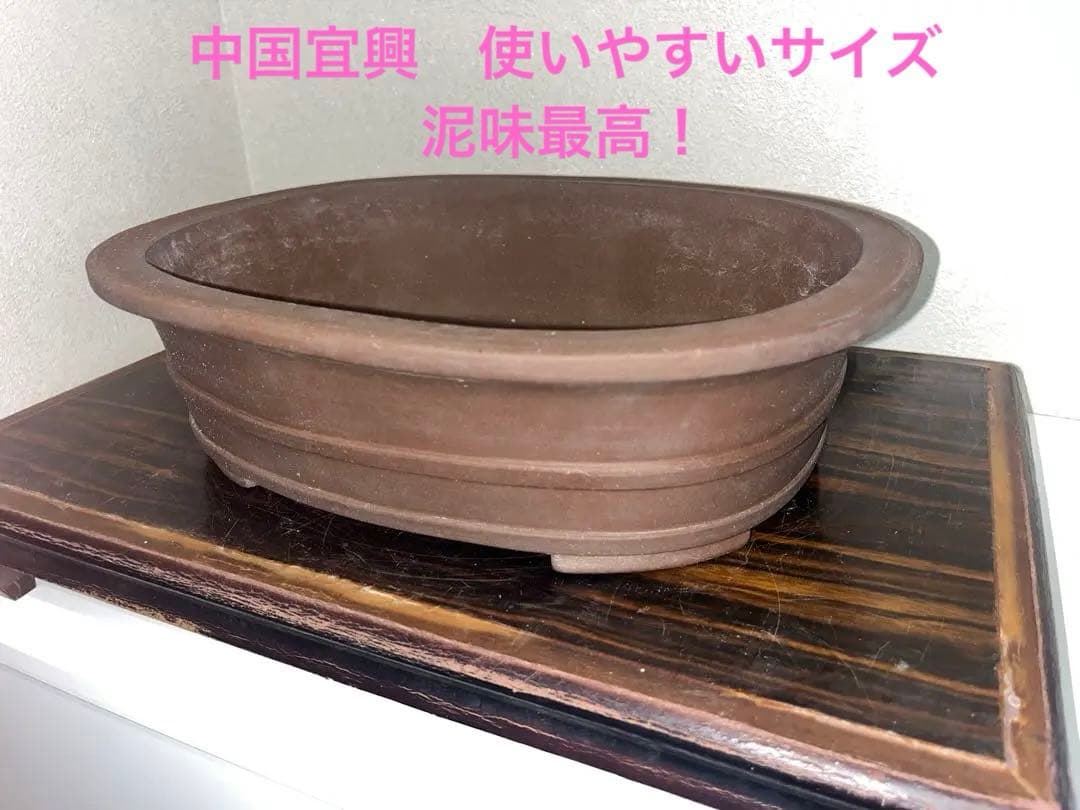外縁胴紐楕円鉢　中国宣興　落款　古盆器　盆栽鉢