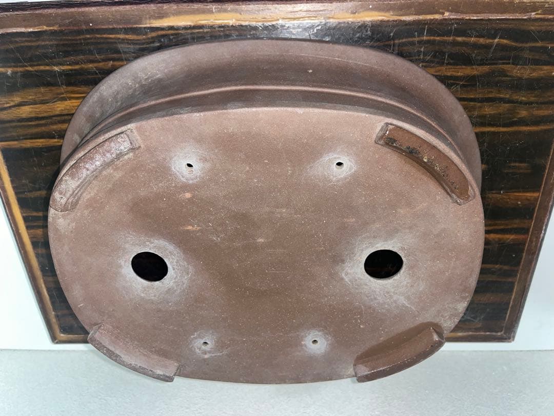 外縁胴紐楕円鉢　中国宣興　落款　古盆器　盆栽鉢