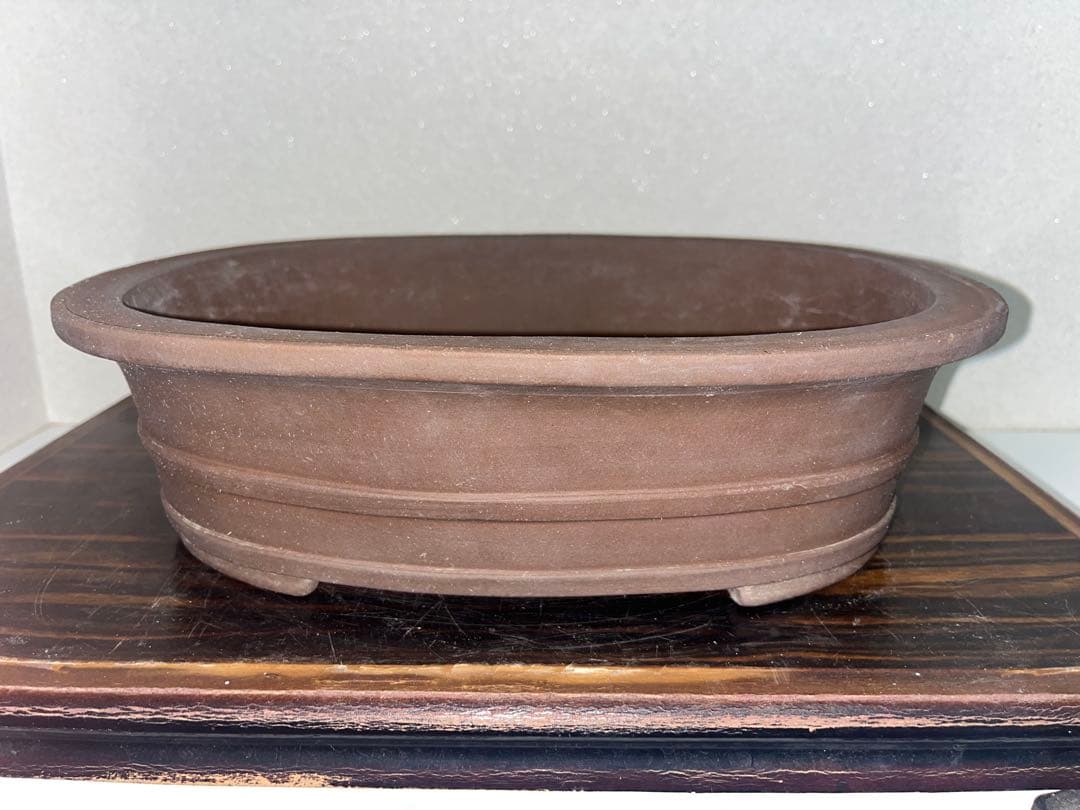 外縁胴紐楕円鉢　中国宣興　落款　古盆器　盆栽鉢