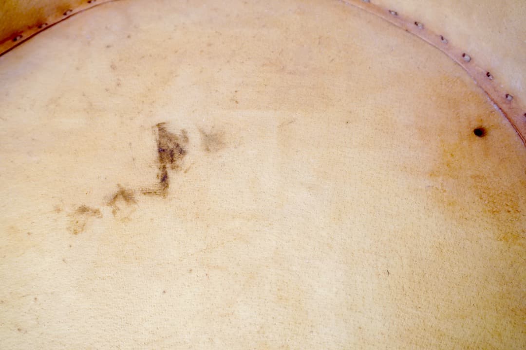 メキシコ ヴィンテージ エキパルチェア 1脚