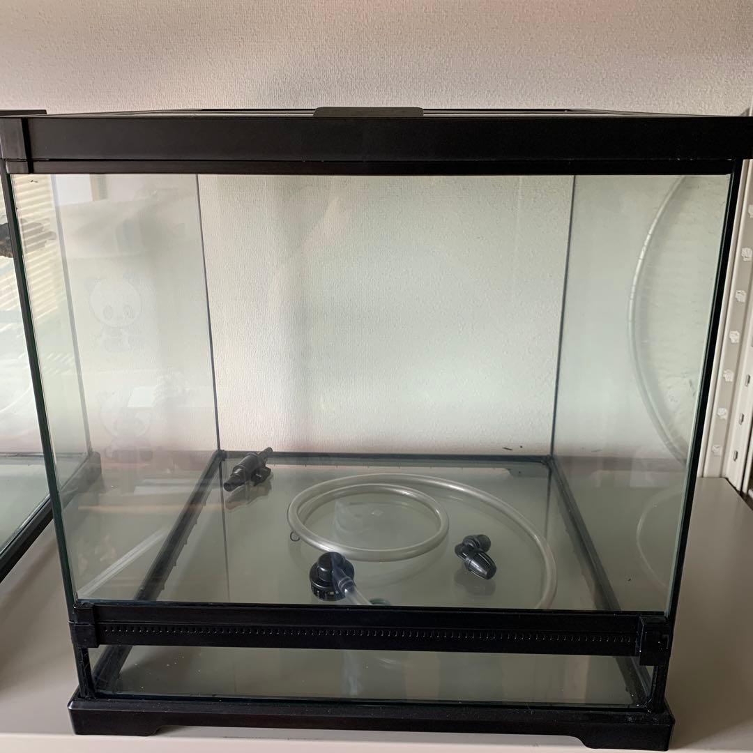 グラステラリウム　ドレイン　4545 最終出品