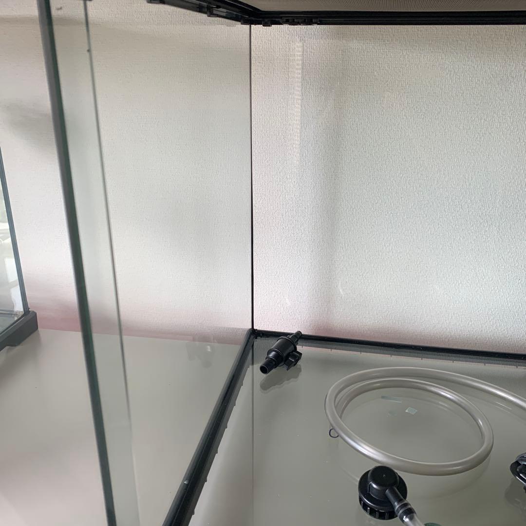 グラステラリウム　ドレイン　4545 最終出品