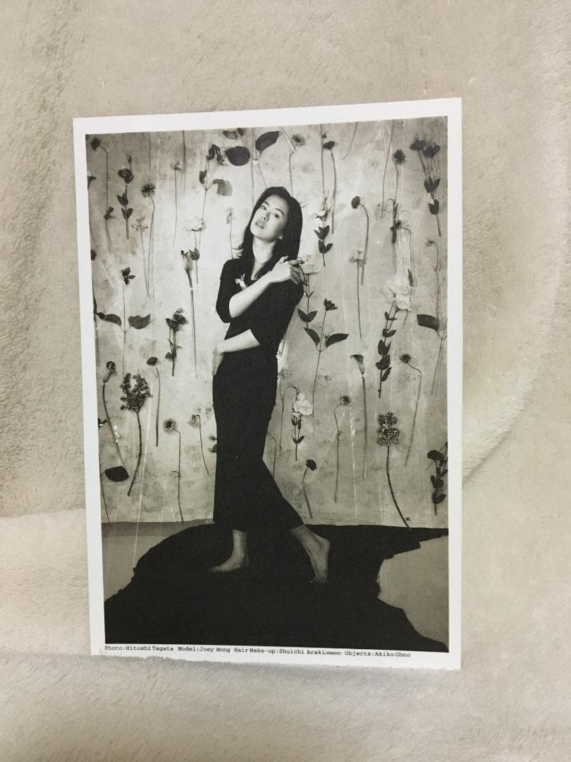 ジョイウオン　王祖賢　ポストカード　未使用