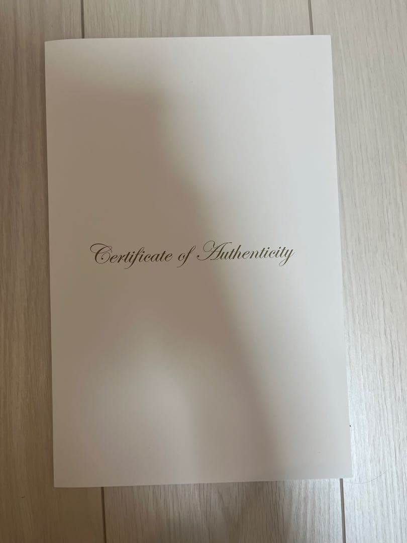 ディズニー・マーメイド 絵画『作品保証書在中』