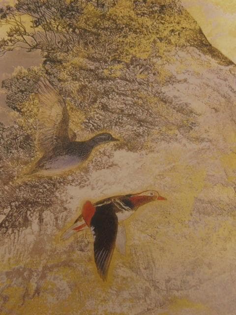 下田義寛、【凍霞（鴛鴦）】、希少な額装用画集より、新品額装付