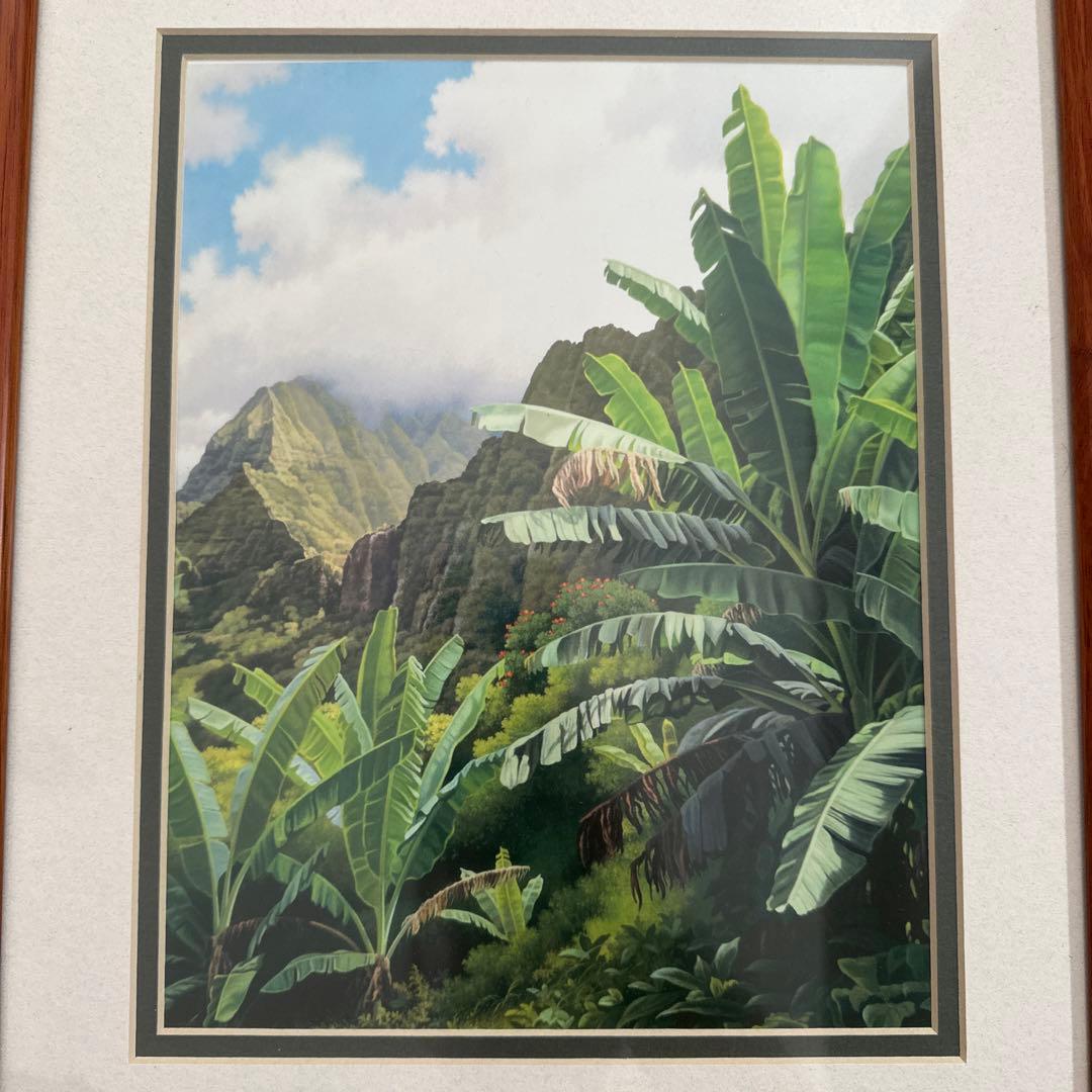 【最後の出品】高級コアウッドのフレーム　ハワイ熱帯植物の風景画 サイン入り