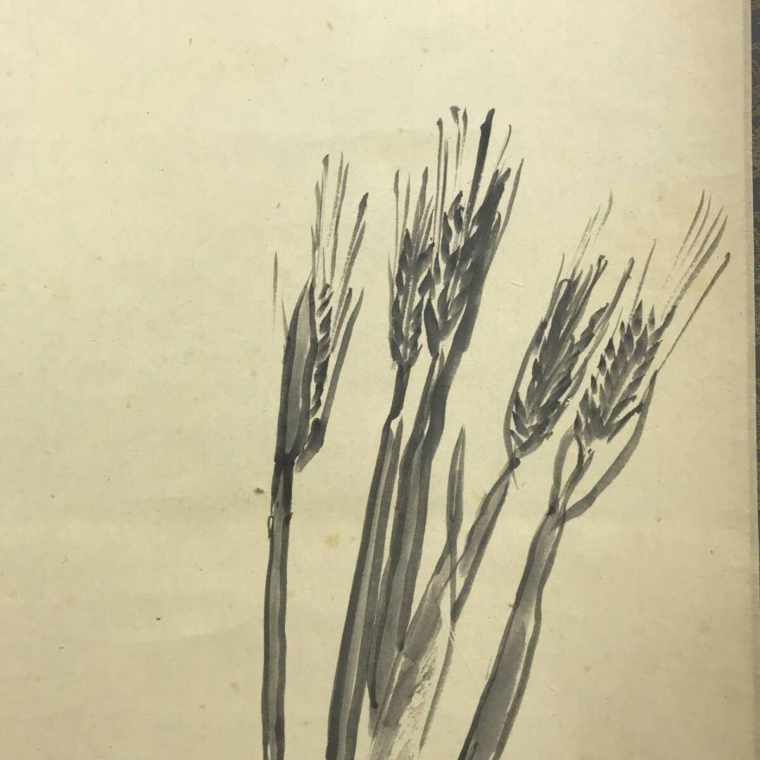 真作/大徳寺/紫野/山口大痴/宗秀/麦画賛/初夏の掛軸/名家伝来/AK-588