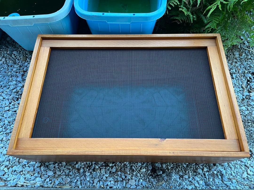 いっちゃん様オーダー