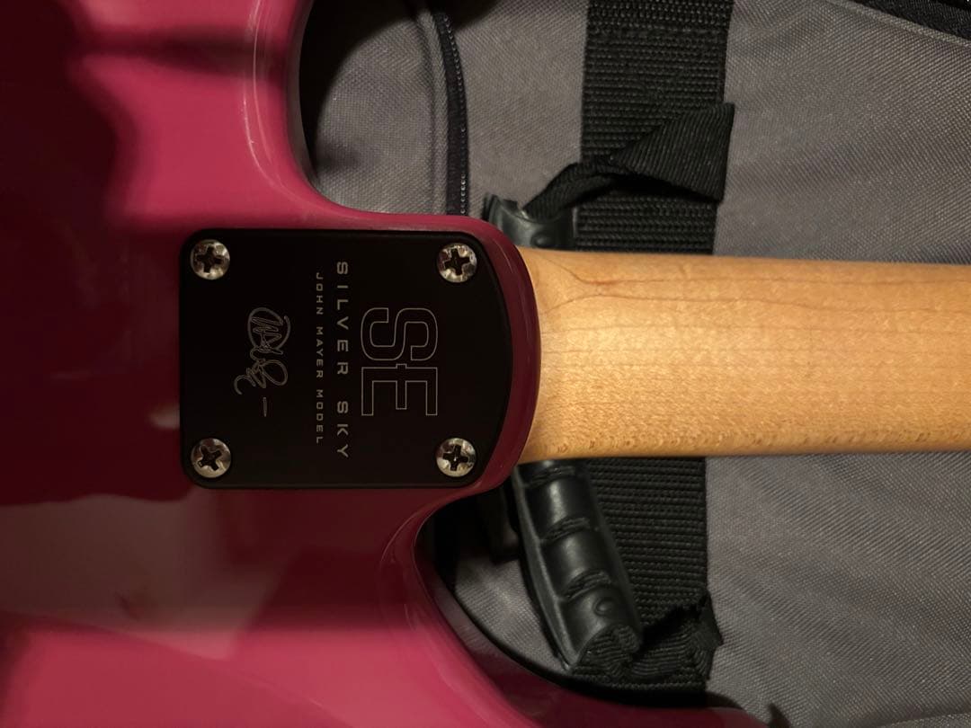 【たこやき】PRS SE Silver Sky