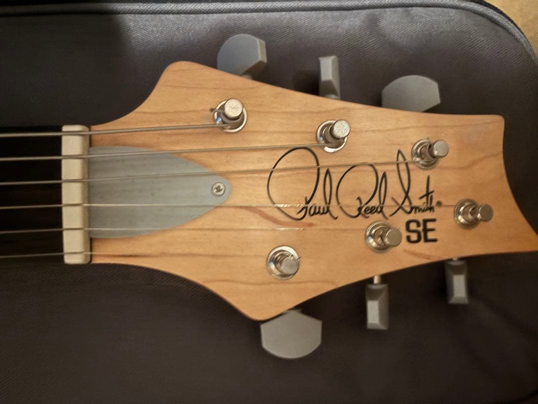 【たこやき】PRS SE Silver Sky