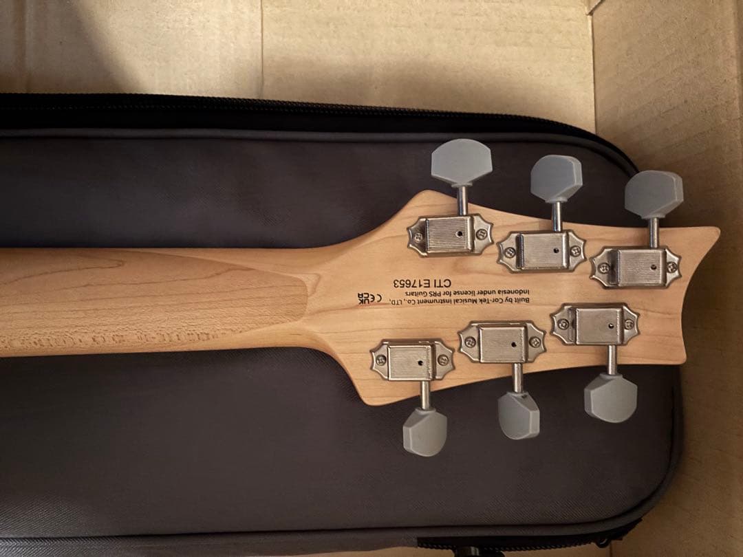 【たこやき】PRS SE Silver Sky