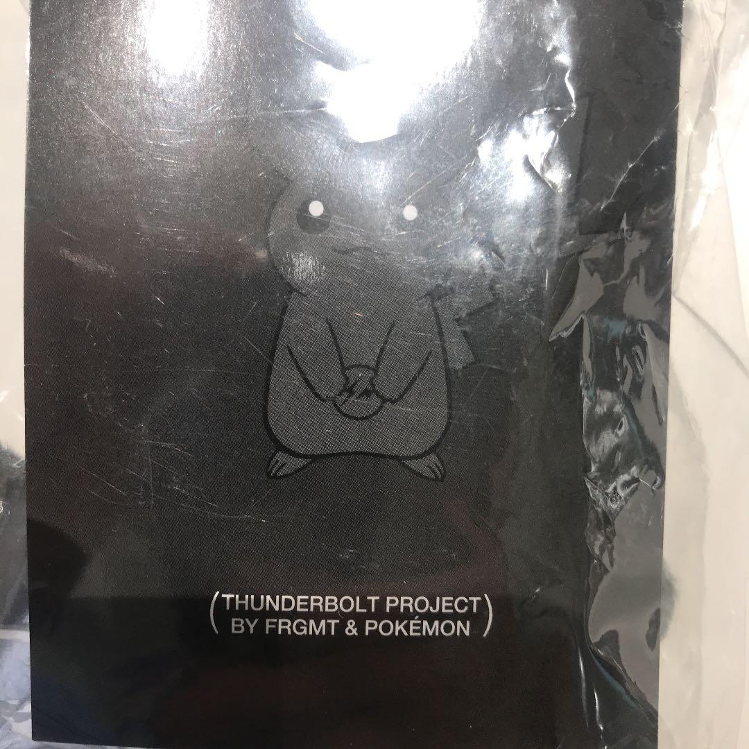 フラグメントピカチュウ fragment ポケモン