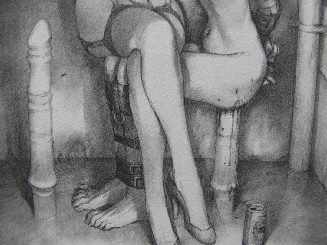 沙村 広明　3、希少画集・額装画、美女、官能イラスト作品、状態良好、新品額付き