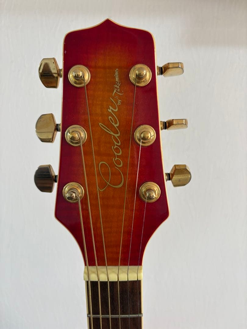 Cooler by Takamine アコースティックギター　TCP-480