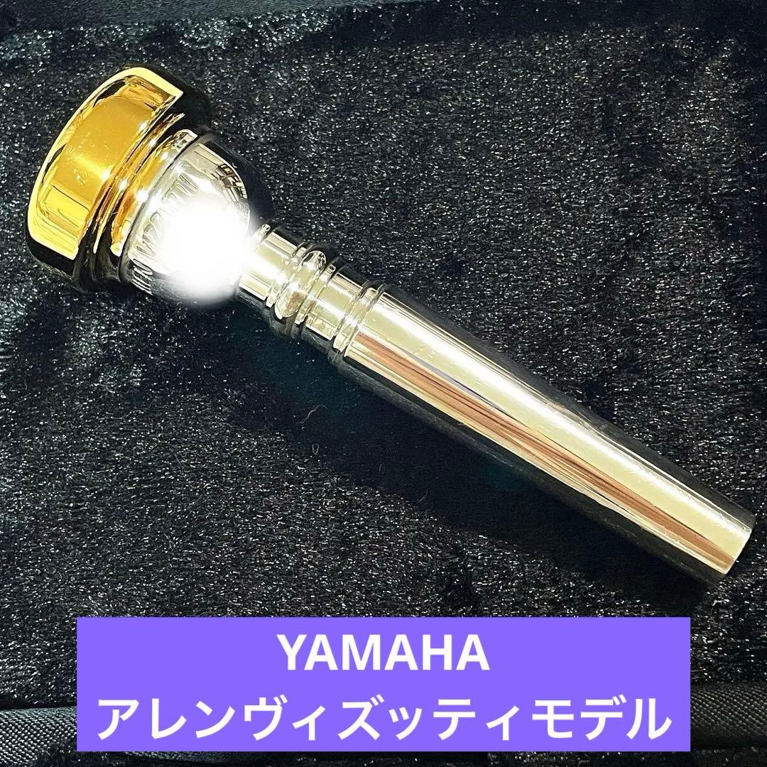 ヤマハ アレンヴィズッティモデル