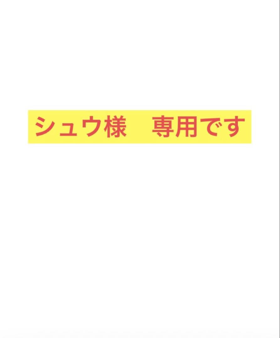 【美品】PASS Labs XA30.8 主力ハイパワーアンプ