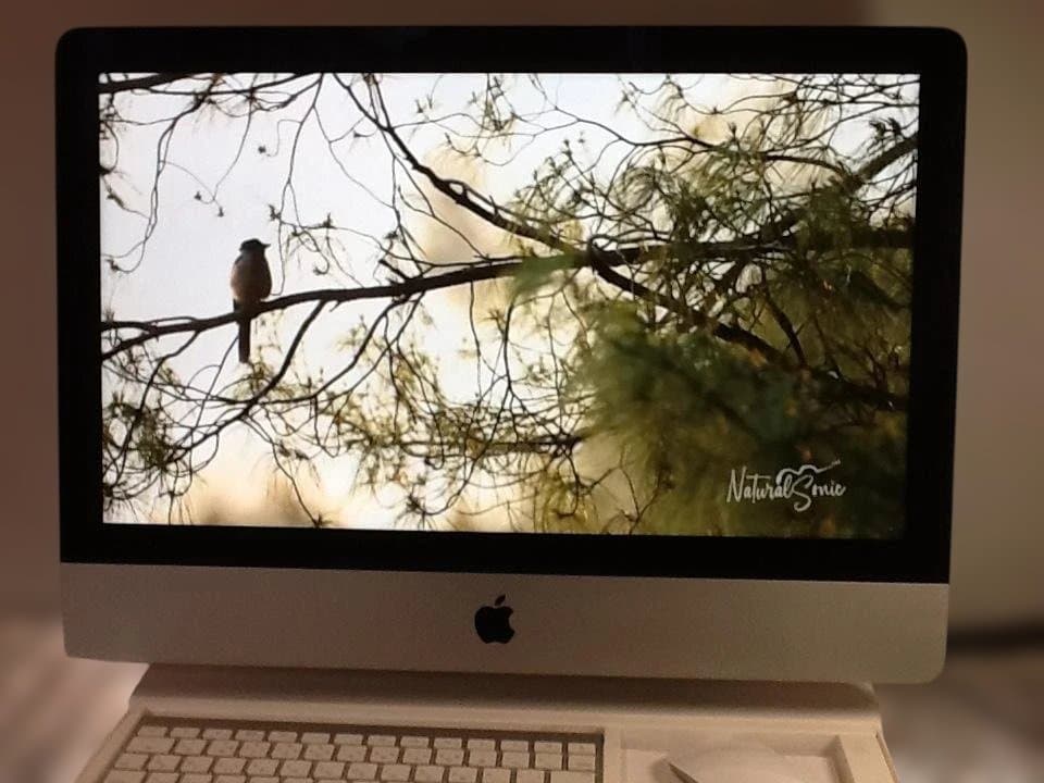 Macデスクトップ Apple iMac (21.5-inch, Late 2015)