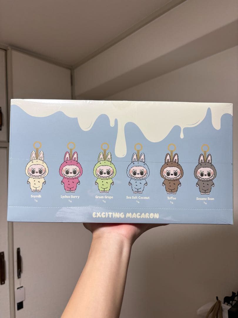 アイドル POPMART LABUBU EXCITING MACARON