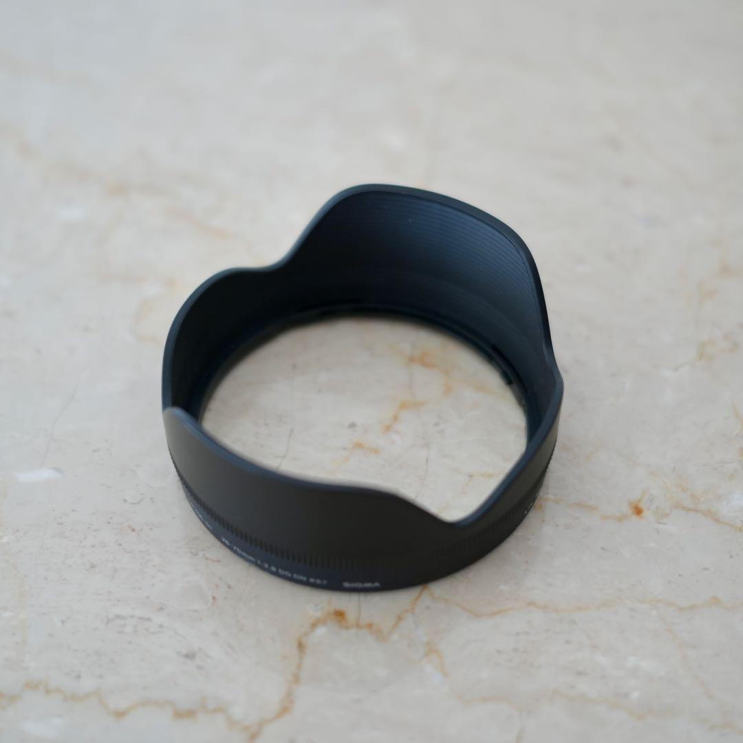 【保証書付】Sigma 28-70mm F2.8 DG DN 67mm