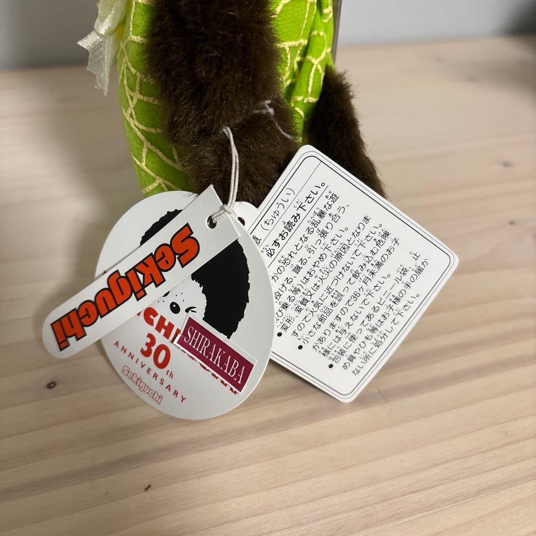 レア　希少　北海道限定　メロンモンチッチ