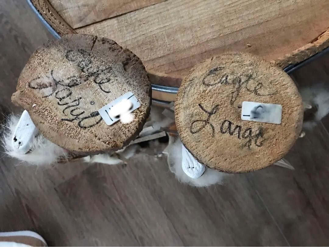 カチナドール（2体）一式