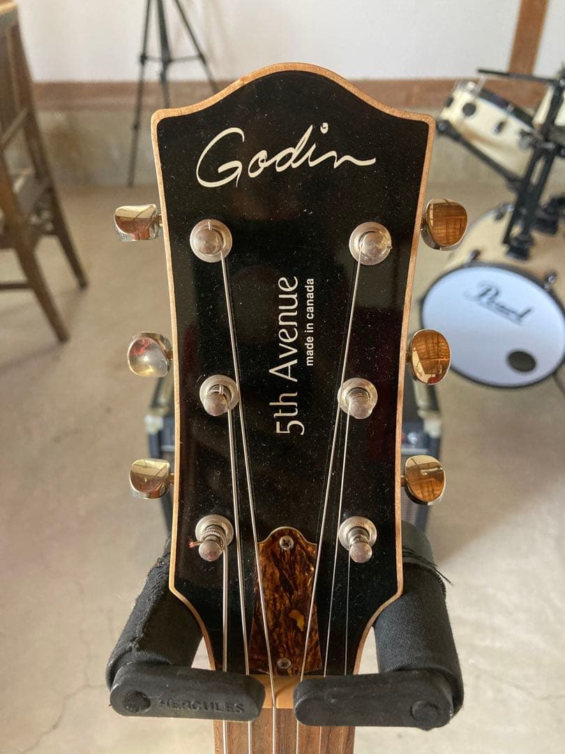 Godin 5th Avenue セミアコースティックギター