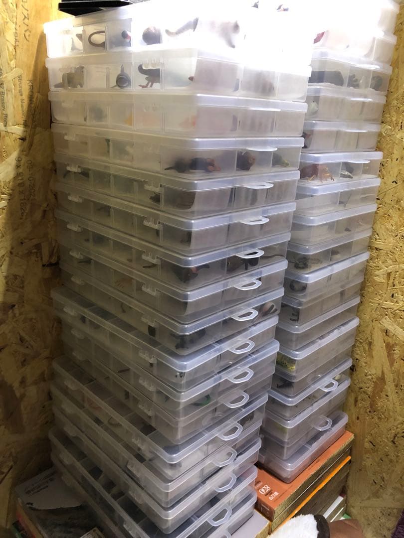 チョコエッグ日本の動物コンプリート