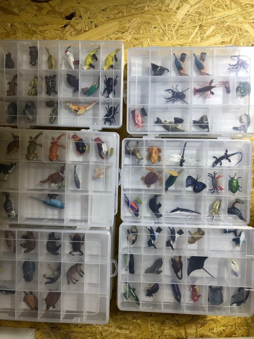 チョコエッグ日本の動物コンプリート