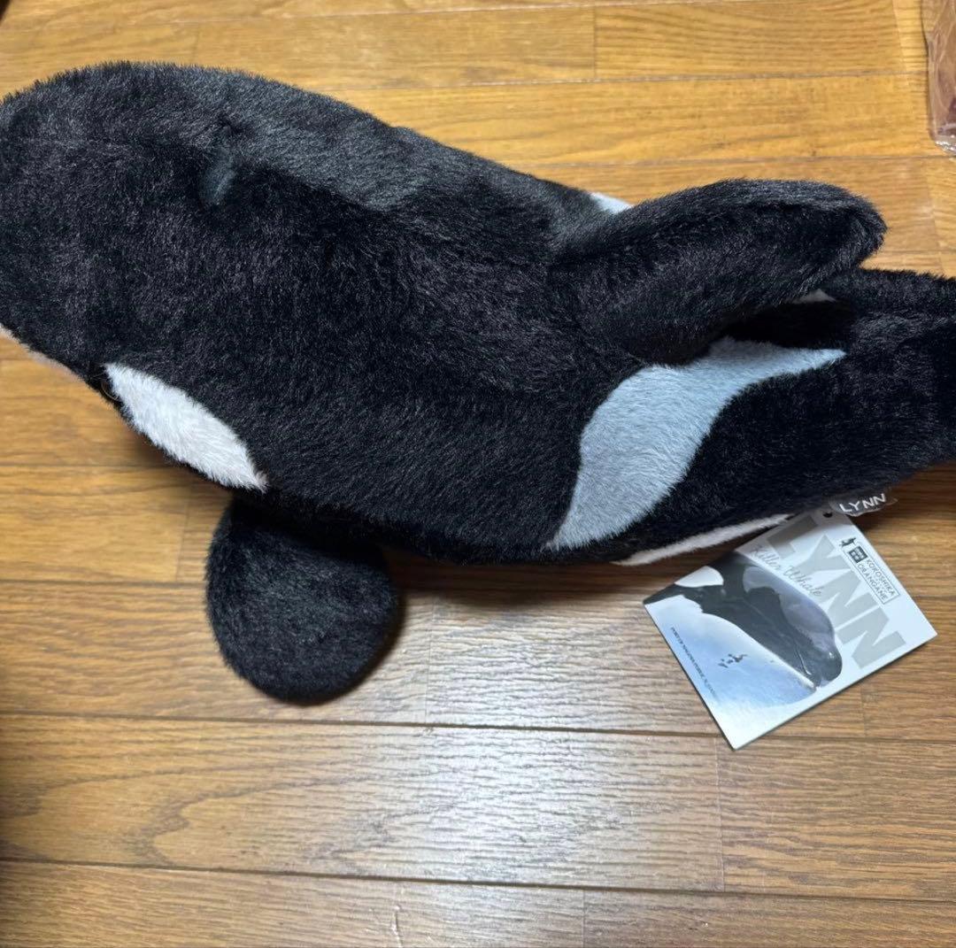 名古屋港水族館 リン シャチ ぬいぐるみ