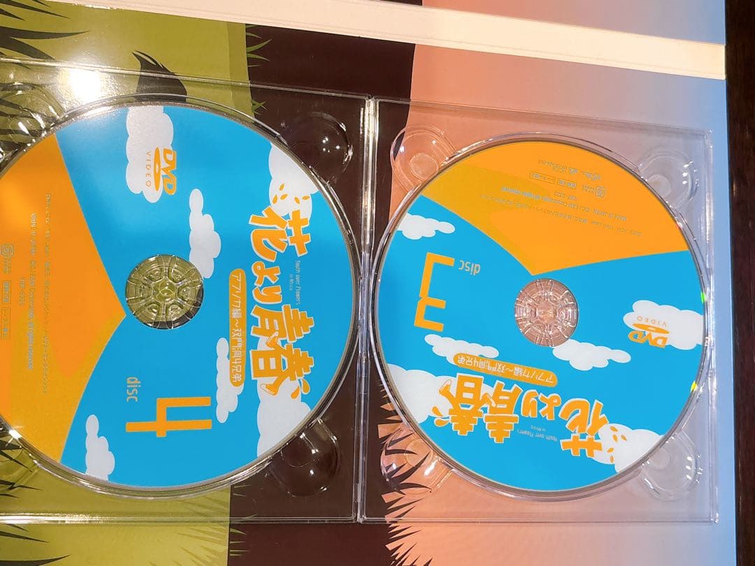 花より青春～アフリカ編 双門洞(サンムンドン)4兄弟 DVD-BOX〈7枚組〉