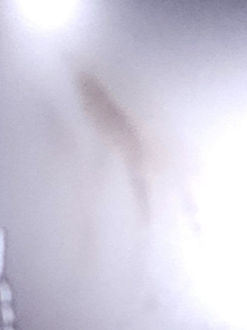 内閣総理大臣 純銀杯 SILVER 1000 141.34g