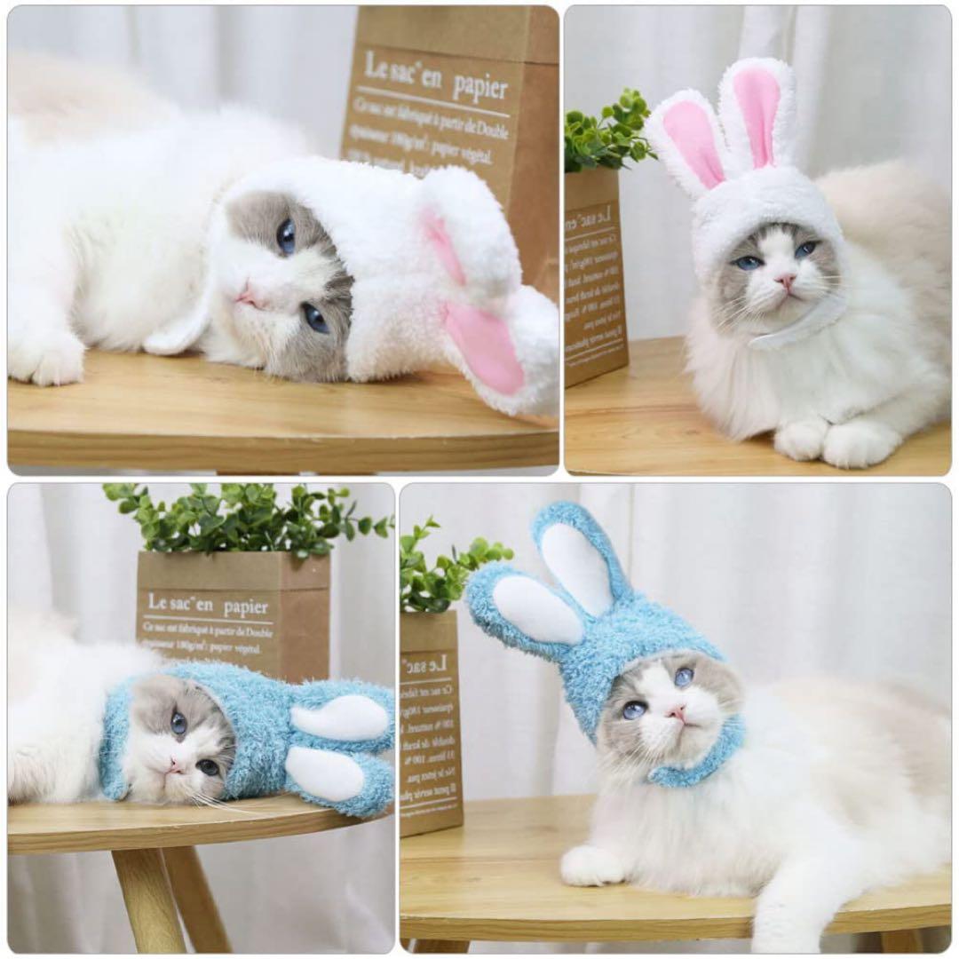 ペット用 被り物 帽子 小型犬 猫 ペット用 キャップ 2個セット 着脱便利