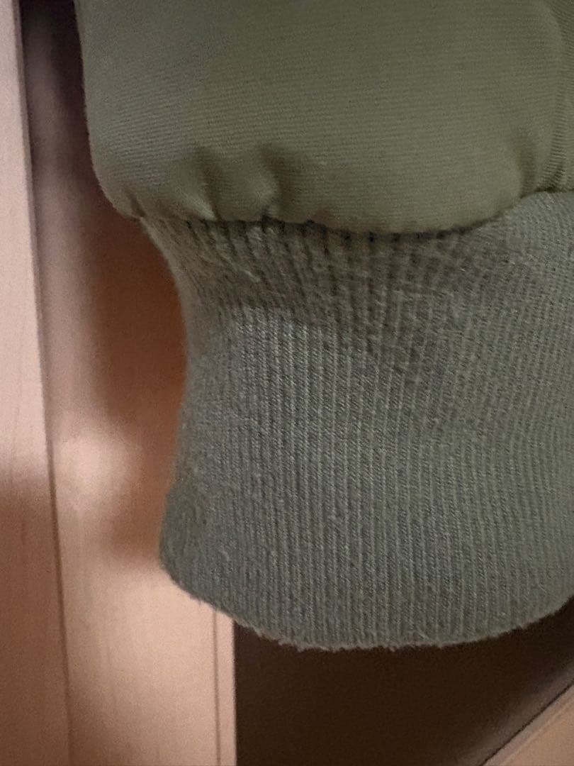 patagonia ジャケット Lサイズ　シェルドシンチラ　希少サイズ