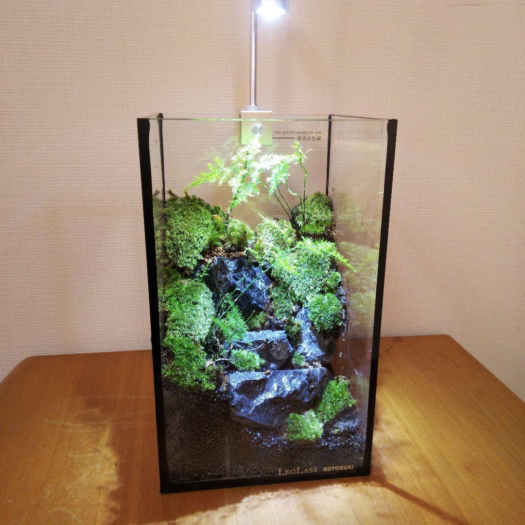 【受注生産】苔テラリウム