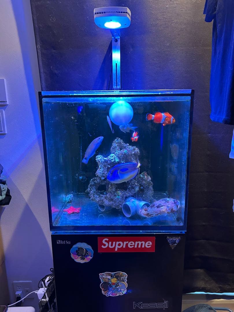 レッドシーマックスナノ水槽　セット