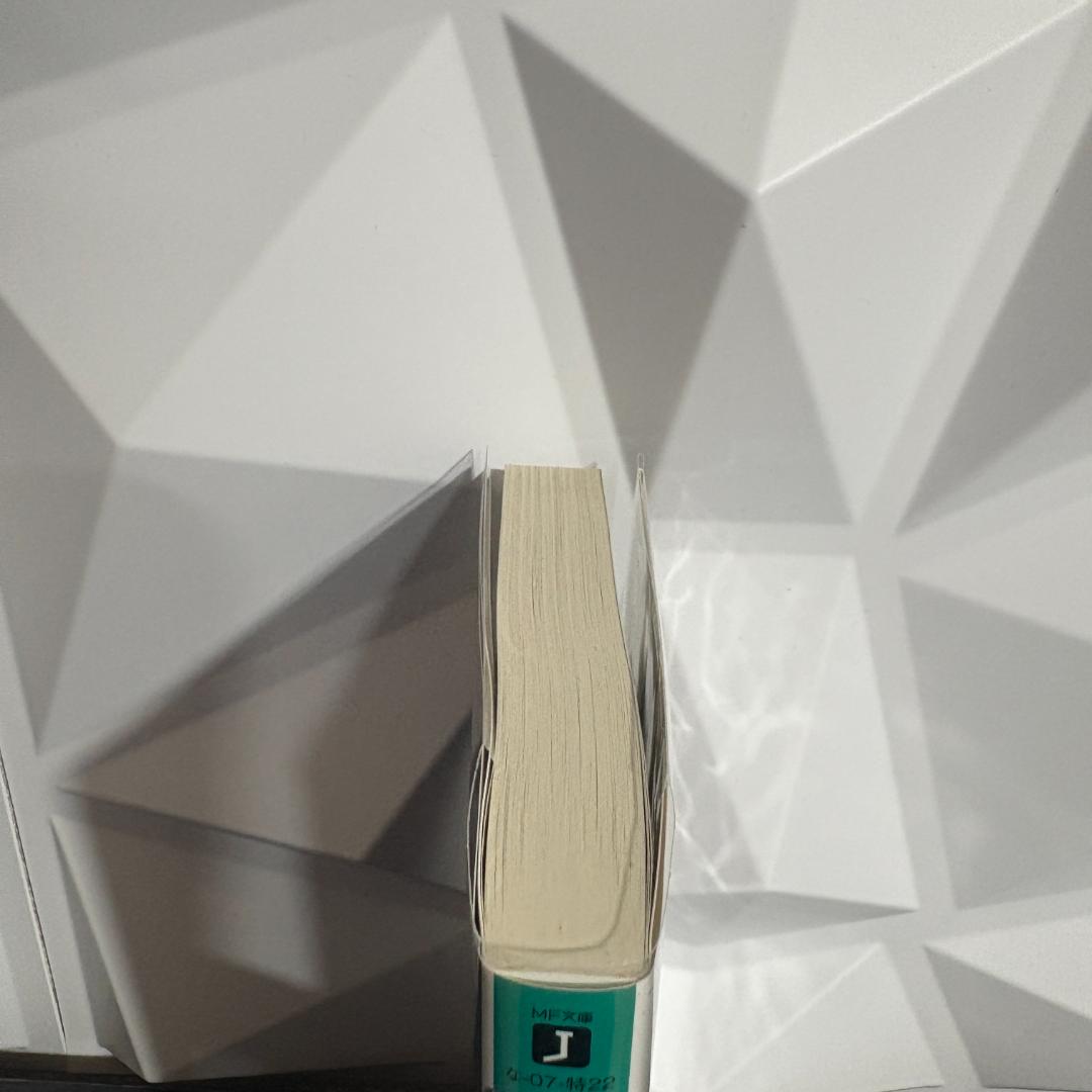 Re:IFから始める異世界生活 ゼロカラカサネルイセカイセイカツ リゼロ