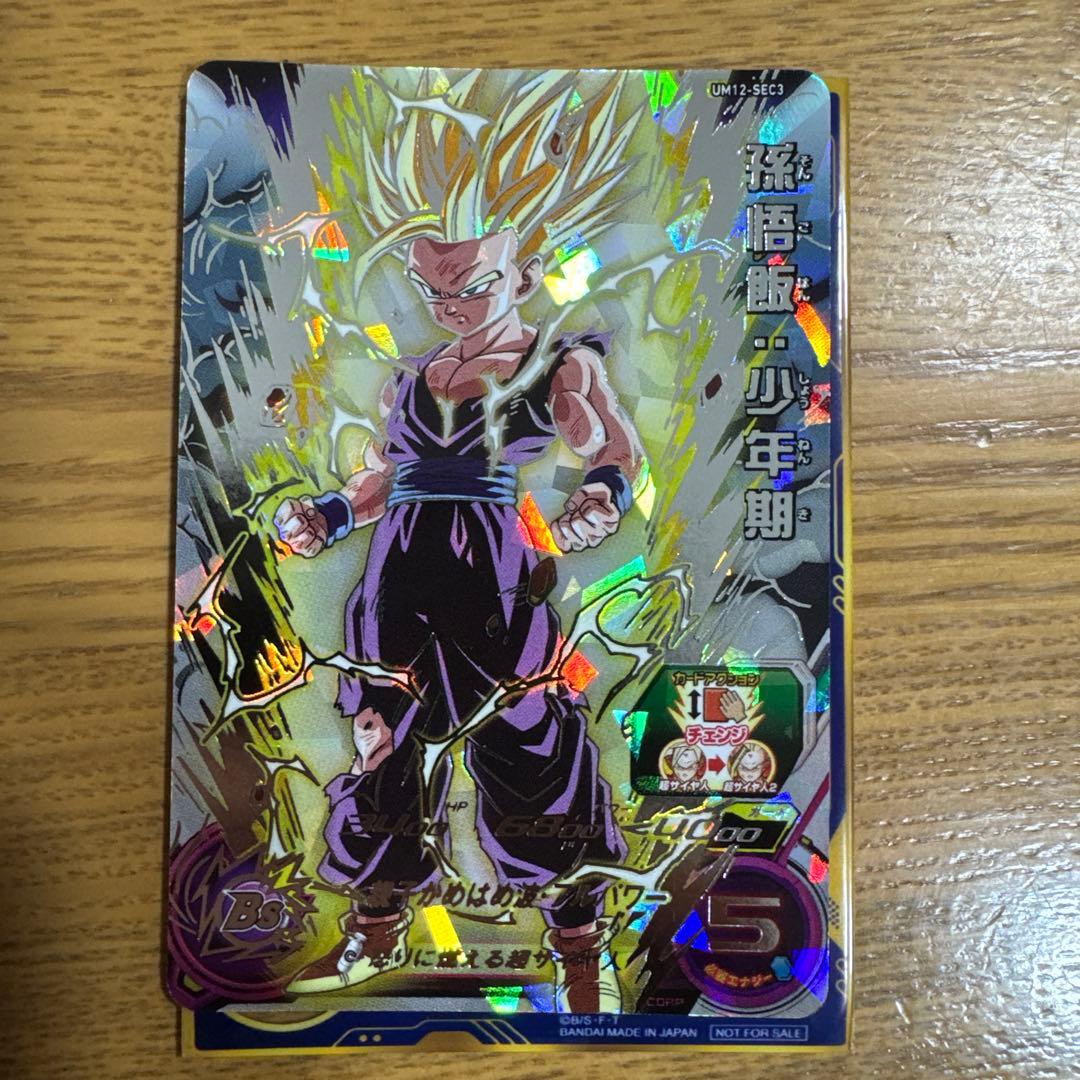 孫悟飯少年期　UM12 SEC3