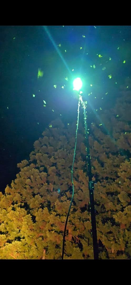 ライトトラップシステム200V 400W 水銀灯