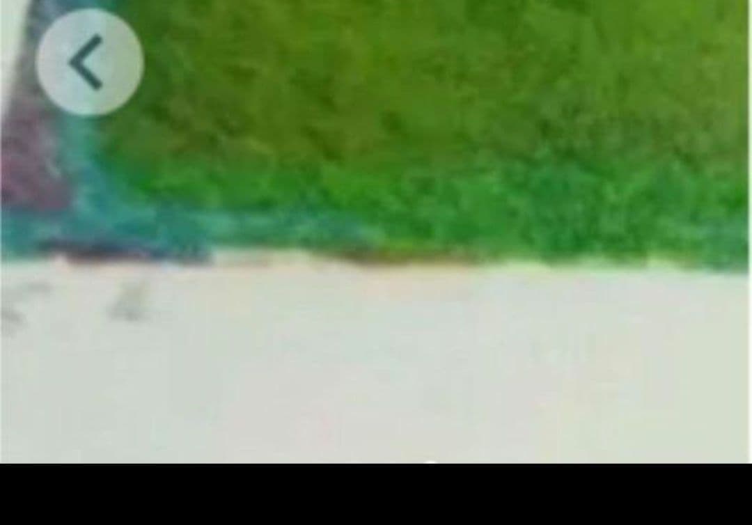 お値下げ中ポールギアマン リトグラフ