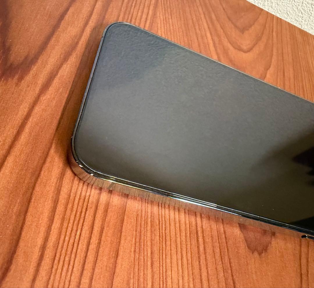 iPhone 12 Pro Max 256GB (正規店バッテリー交換済み)