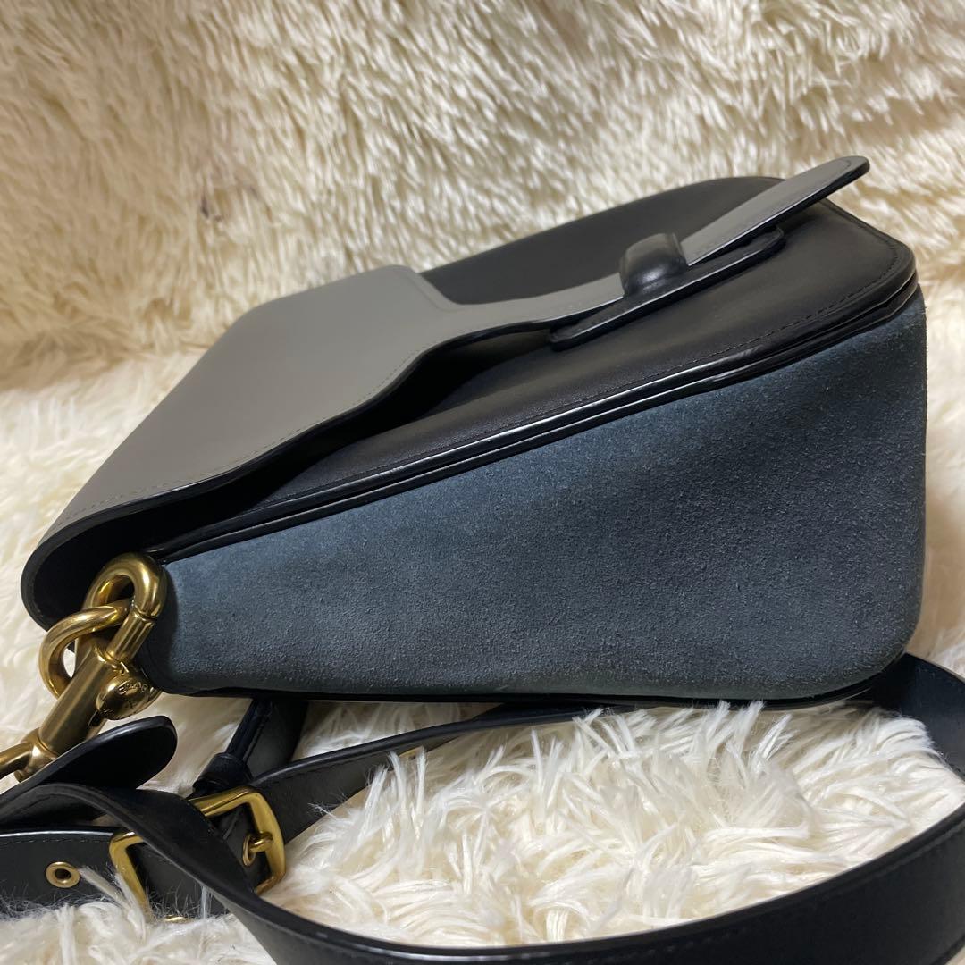 美品　COACH & RODARTE ショルダーバッグ　レザー　スエード