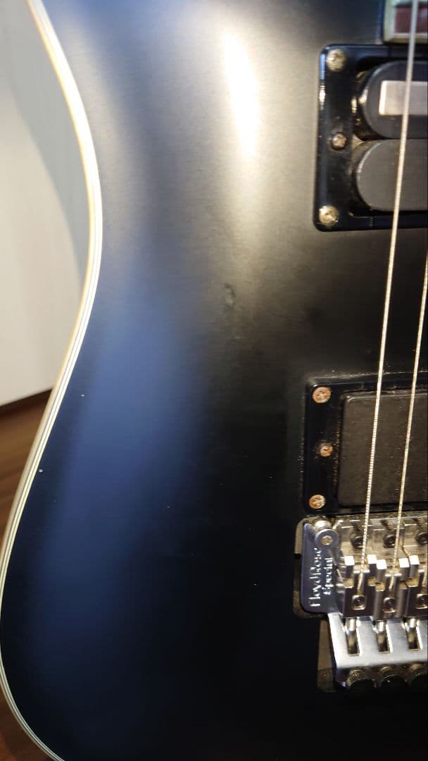 SCHECTER　DAMIEN PLATINUM-6FR-S