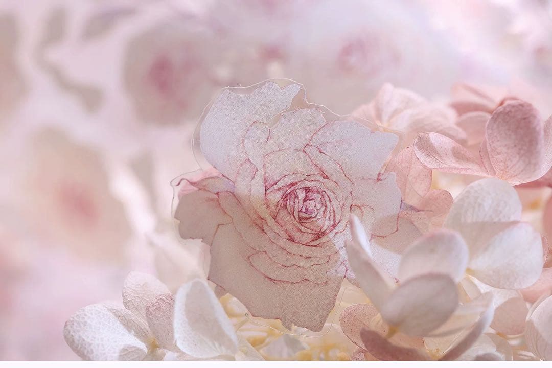 小白家文創《微醺》海外マスキングテープ　マステ 【2029】