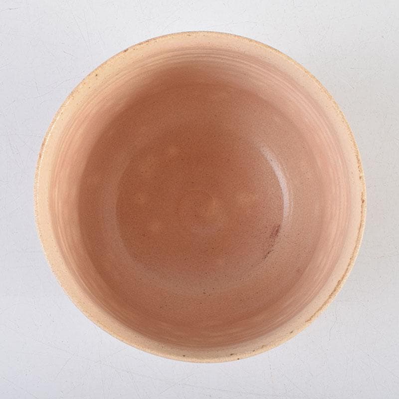 茶道具　志野焼　立鶴絵　茶碗　在銘　時代箱　V　R9374