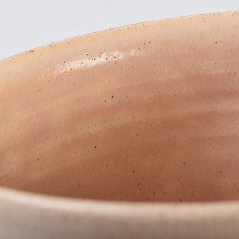 茶道具　志野焼　立鶴絵　茶碗　在銘　時代箱　V　R9374