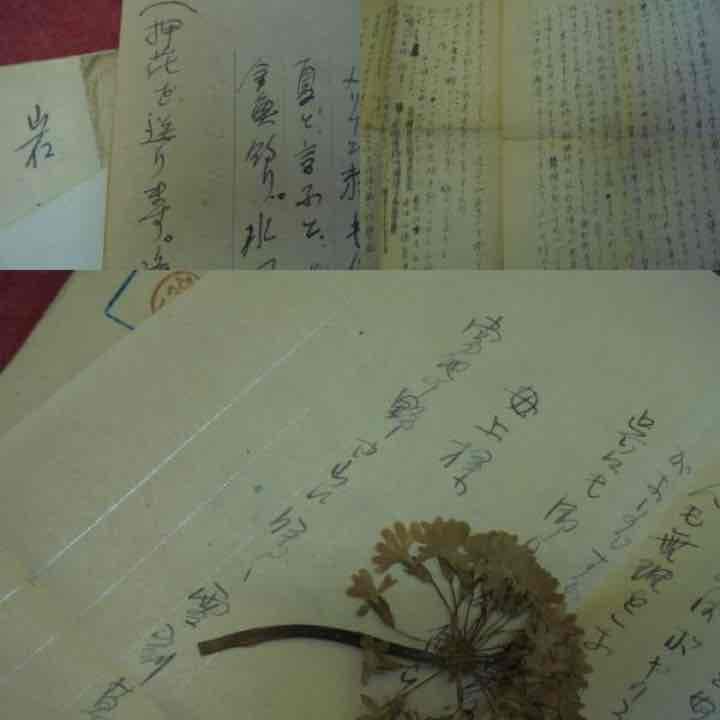 AKａ4935 旧日本軍　軍事郵便　押花入 母親宛の手紙