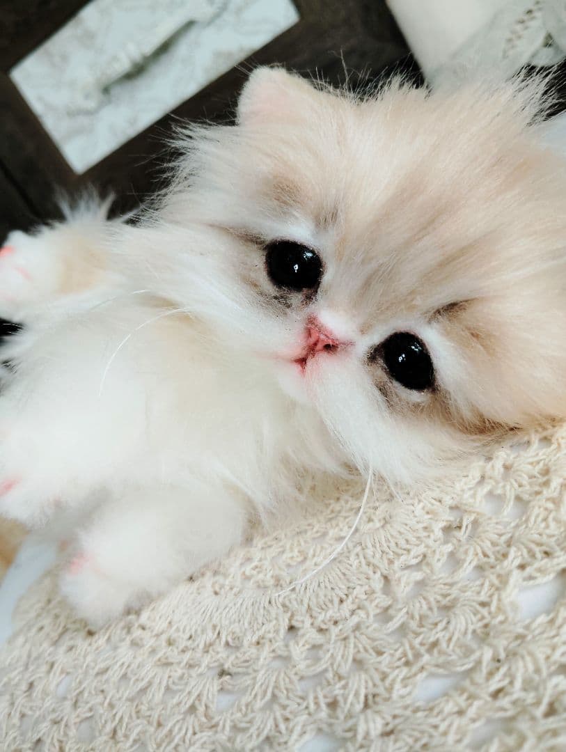 ミヌエット♡子猫のプニちゃん♡アートドール♡ぬいぐるみ♡