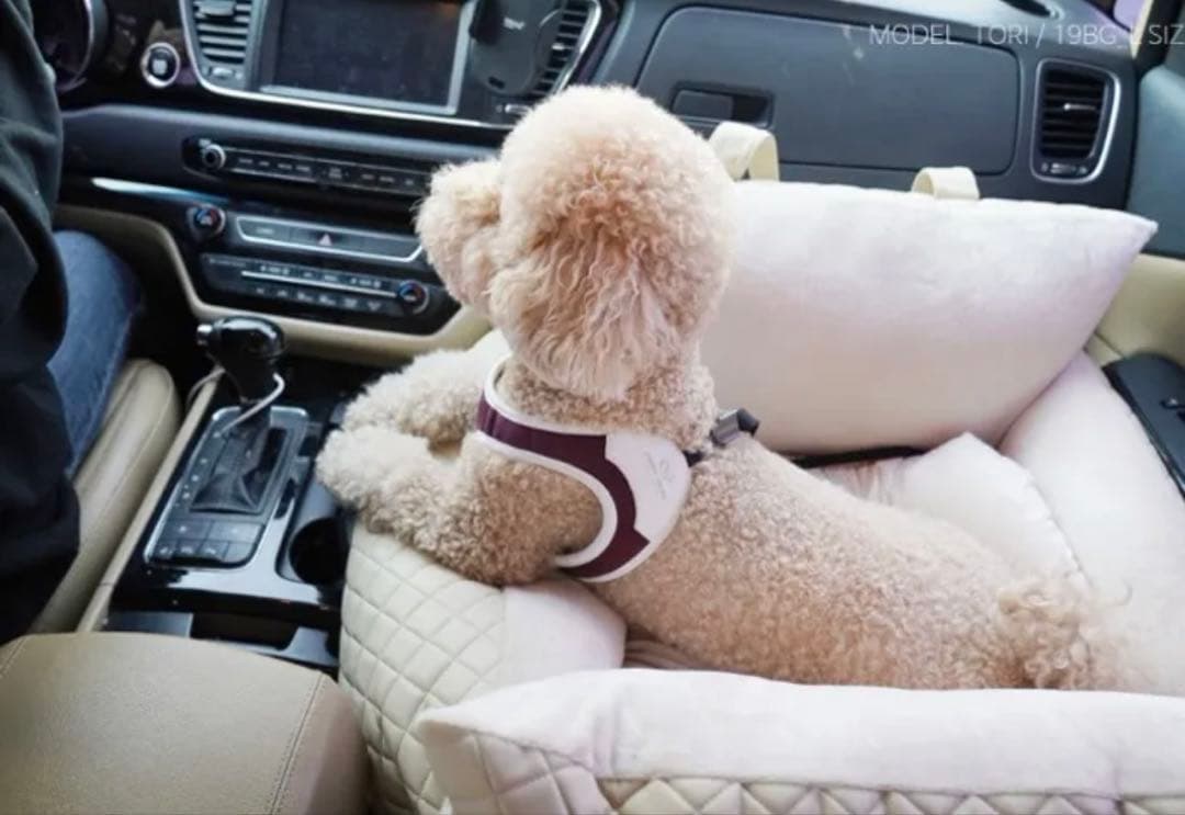 PUPPY ANGEL ドライブシート